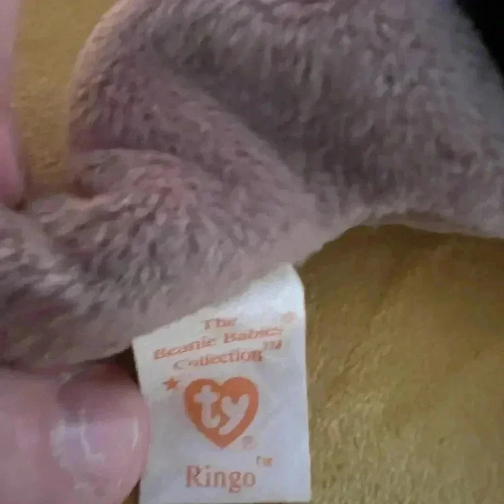Ty Beanie Babies - Ringo the Racoon 4th Generation Tag (1995) - Picture 3 of 5